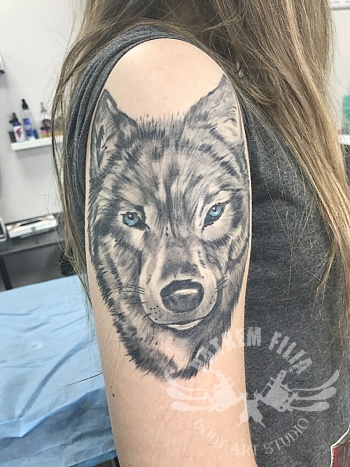 Wolf Head